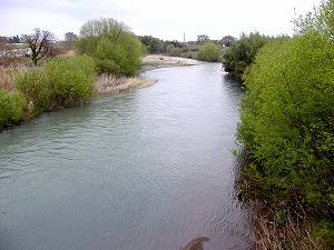 20100428tenjyo (09).jpg